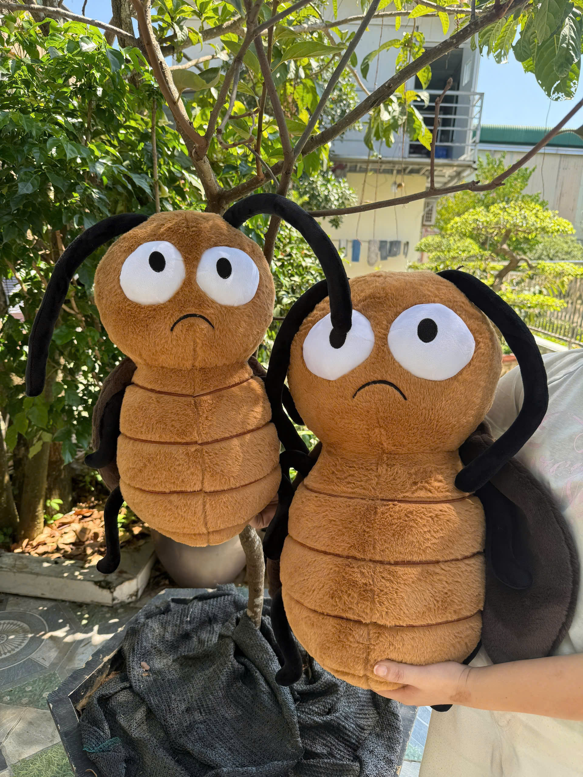 Gấu Bông Con Gián Nâu Hài Hước