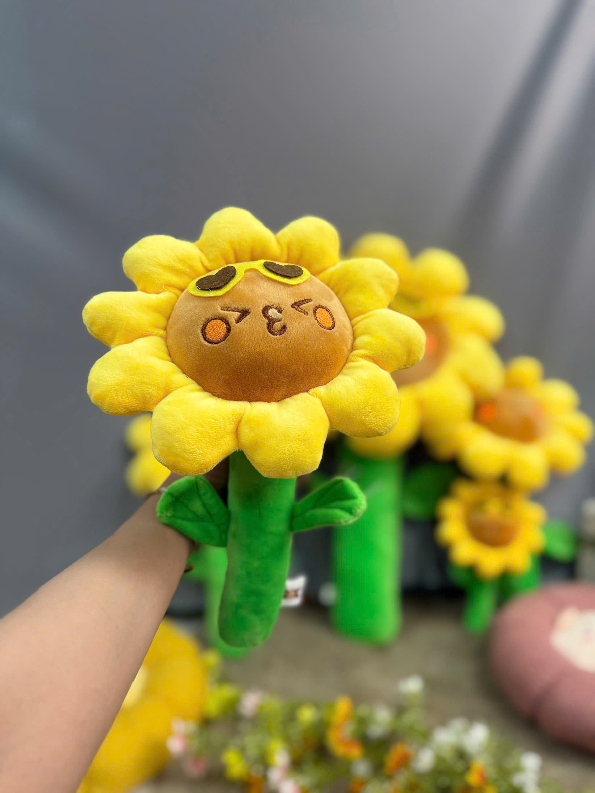 Gấu Bông Hoa Hướng Dương Đeo Kính Râm